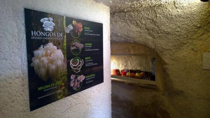 Museo Micológico de Cardenete