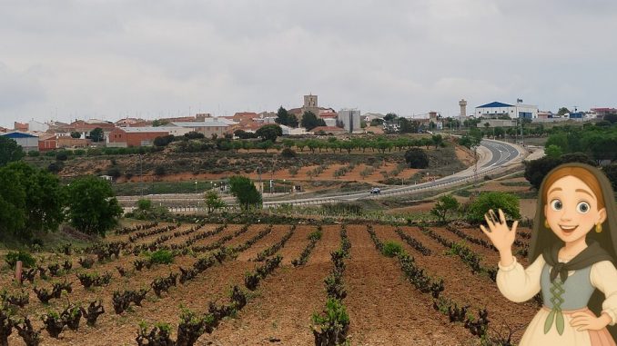 Viñedos de Graja de Iniesta vistos desde la N III